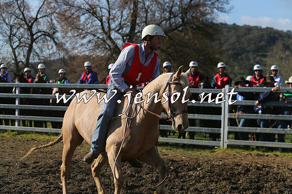 TumbarumbaStockmensChallenge_1692