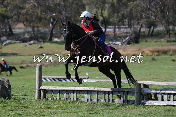 TumbarumbaStockmensChallenge_1190