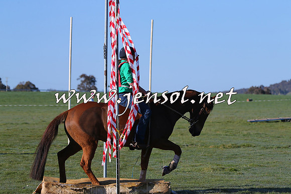 TumbarumbaStockmensChallenge_0845