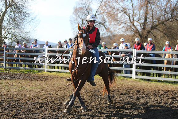 TumbarumbaStockmensChallenge_1772