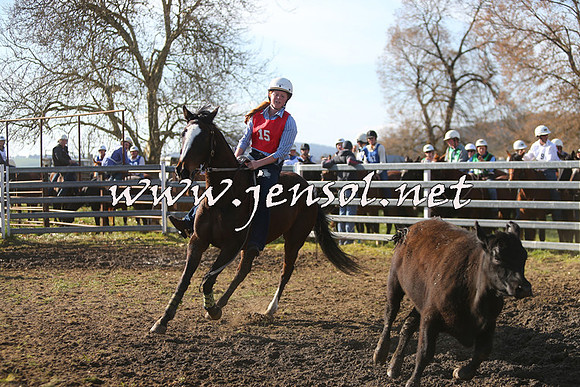 TumbarumbaStockmensChallenge_1797