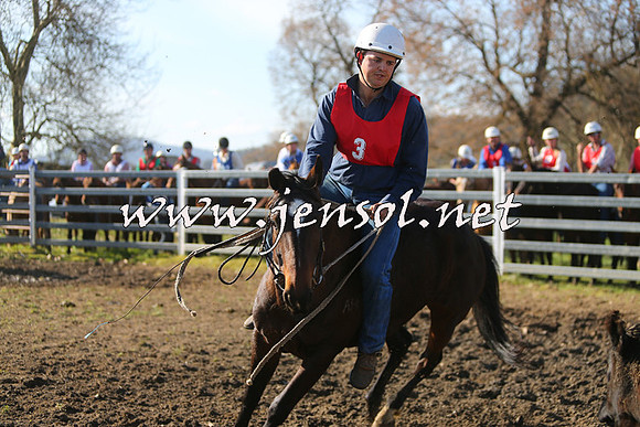 TumbarumbaStockmensChallenge_1714