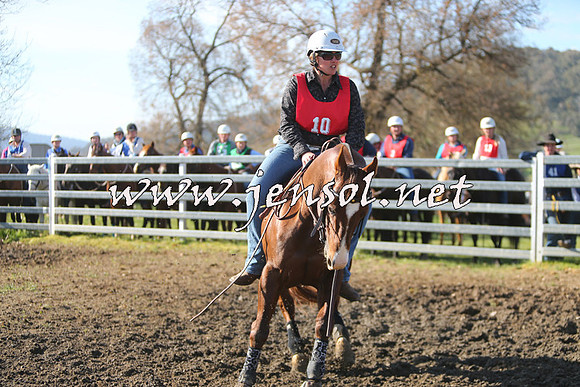 TumbarumbaStockmensChallenge_1777