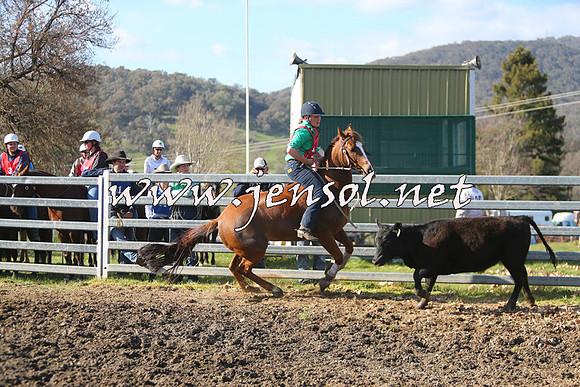 TumbarumbaStockmensChallenge_1759
