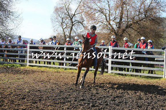 TumbarumbaStockmensChallenge_1738