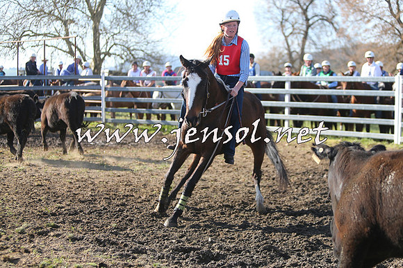 TumbarumbaStockmensChallenge_1795