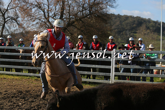 TumbarumbaStockmensChallenge_1695