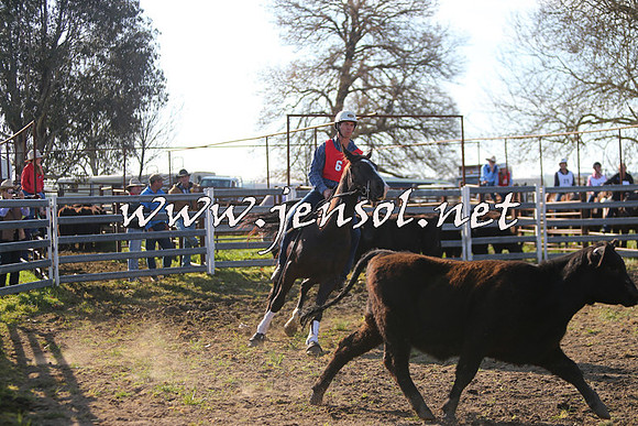 TumbarumbaStockmensChallenge_1722