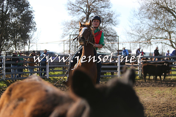 TumbarumbaStockmensChallenge_1767