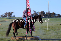TumbarumbaStockmensChallenge_0807