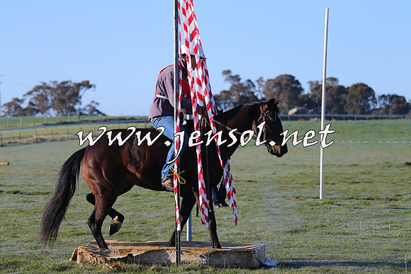 TumbarumbaStockmensChallenge_0807