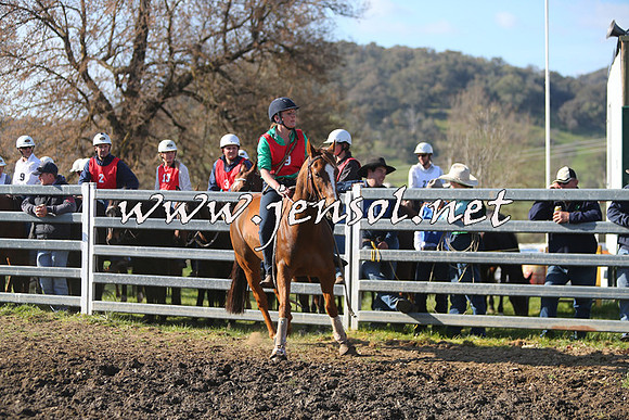 TumbarumbaStockmensChallenge_1752