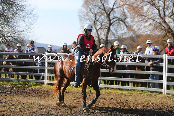 TumbarumbaStockmensChallenge_1770