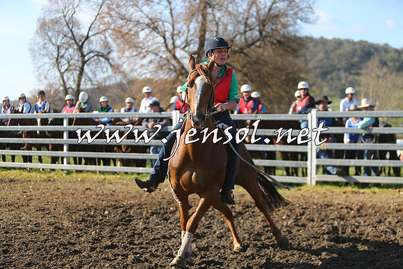 TumbarumbaStockmensChallenge_1758