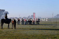 TumbarumbaStockmensChallenge_0786