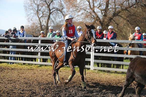 TumbarumbaStockmensChallenge_1793