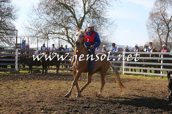 TumbarumbaStockmensChallenge_1734