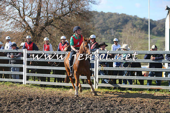 TumbarumbaStockmensChallenge_1751