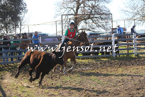 TumbarumbaStockmensChallenge_1749