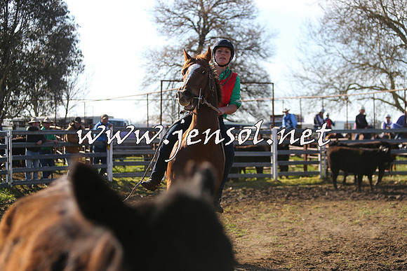 TumbarumbaStockmensChallenge_1768
