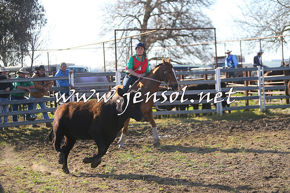 TumbarumbaStockmensChallenge_1750