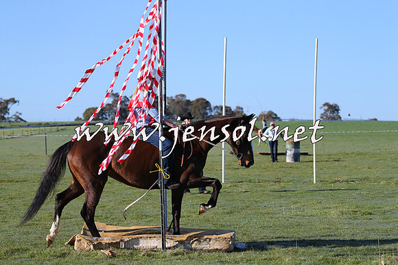 TumbarumbaStockmensChallenge_0889