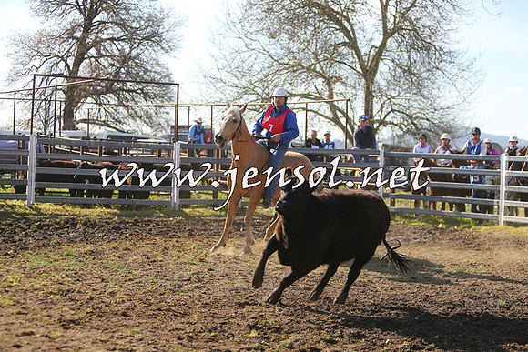 TumbarumbaStockmensChallenge_1730