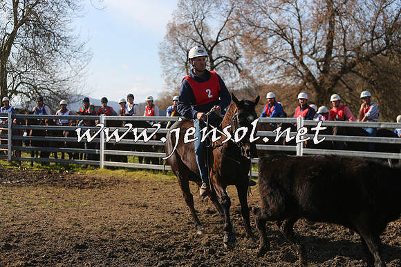TumbarumbaStockmensChallenge_1703