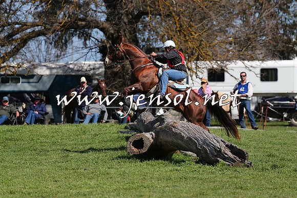 TumbarumbaStockmensChallenge_1164