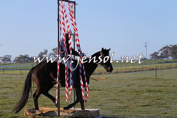 TumbarumbaStockmensChallenge_0804