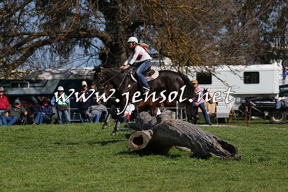 TumbarumbaStockmensChallenge_1193
