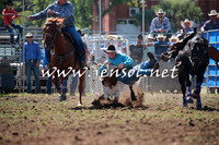 QueanbeyanRodeo2016_4230