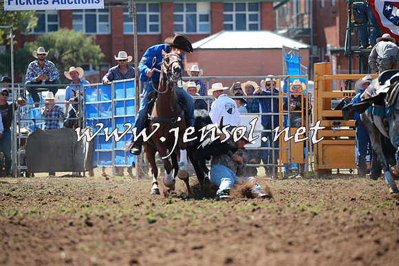 QueanbeyanRodeo2016_4235