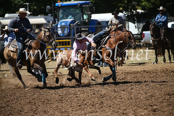 TaralgaRodeoSun2017_3760
