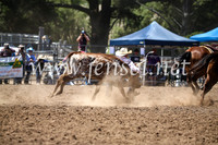 TaralgaRodeoSun2017_1329