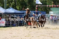 PictonRodeo2015_1005