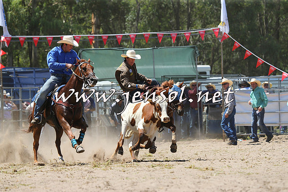 PictonRodeo2015_1053