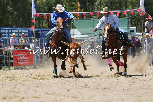 PictonRodeo2015_1079