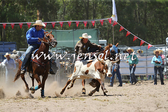 PictonRodeo2015_1067