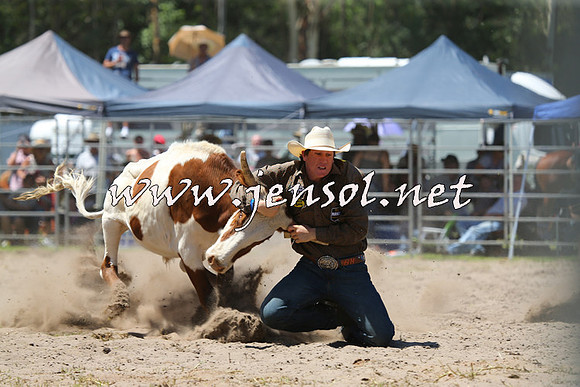 PictonRodeo2015_1062