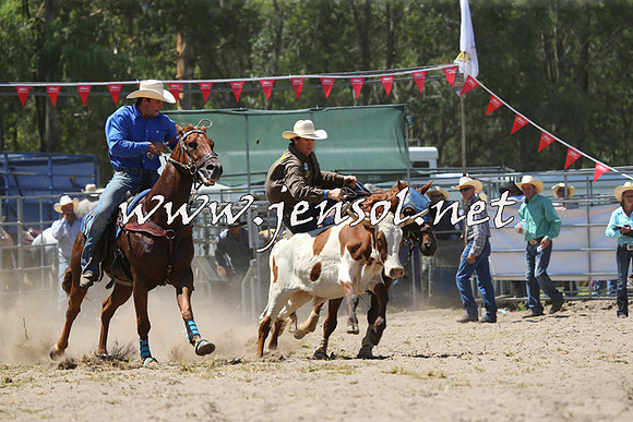 PictonRodeo2015_1066