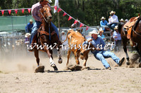 PictonRodeo2015_0992