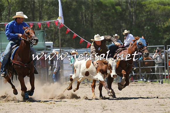 PictonRodeo2015_1071