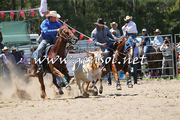 PictonRodeo2015_1042