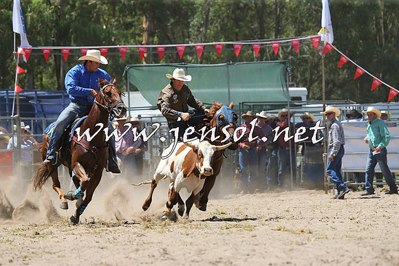 PictonRodeo2015_1054