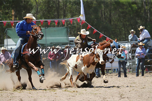 PictonRodeo2015_1064