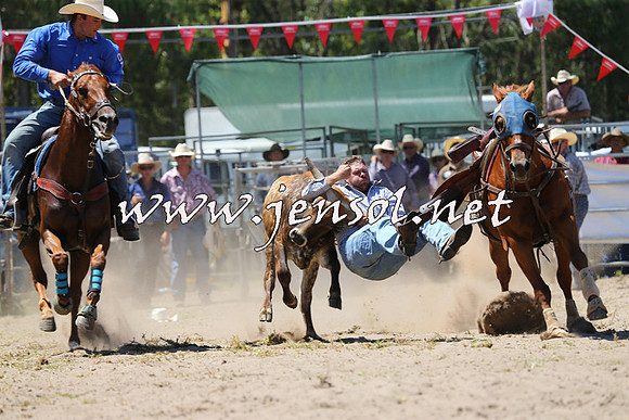 PictonRodeo2015_1047