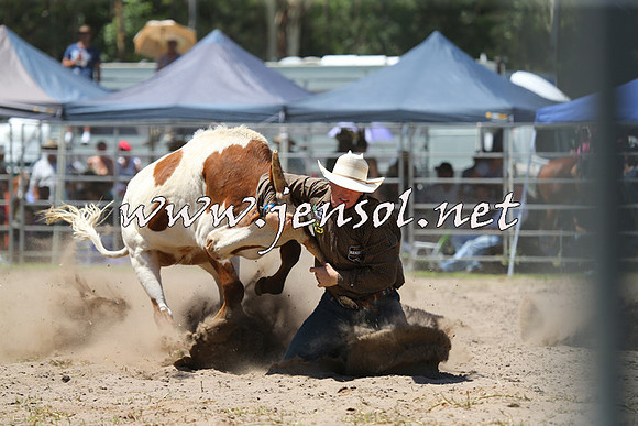 PictonRodeo2015_1060