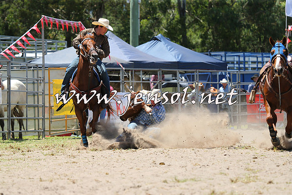 PictonRodeo2015_1002