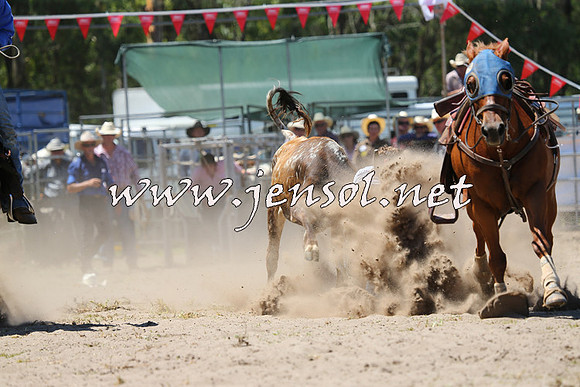 PictonRodeo2015_1043